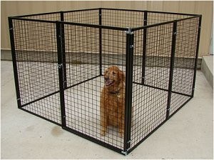Dog Kennel