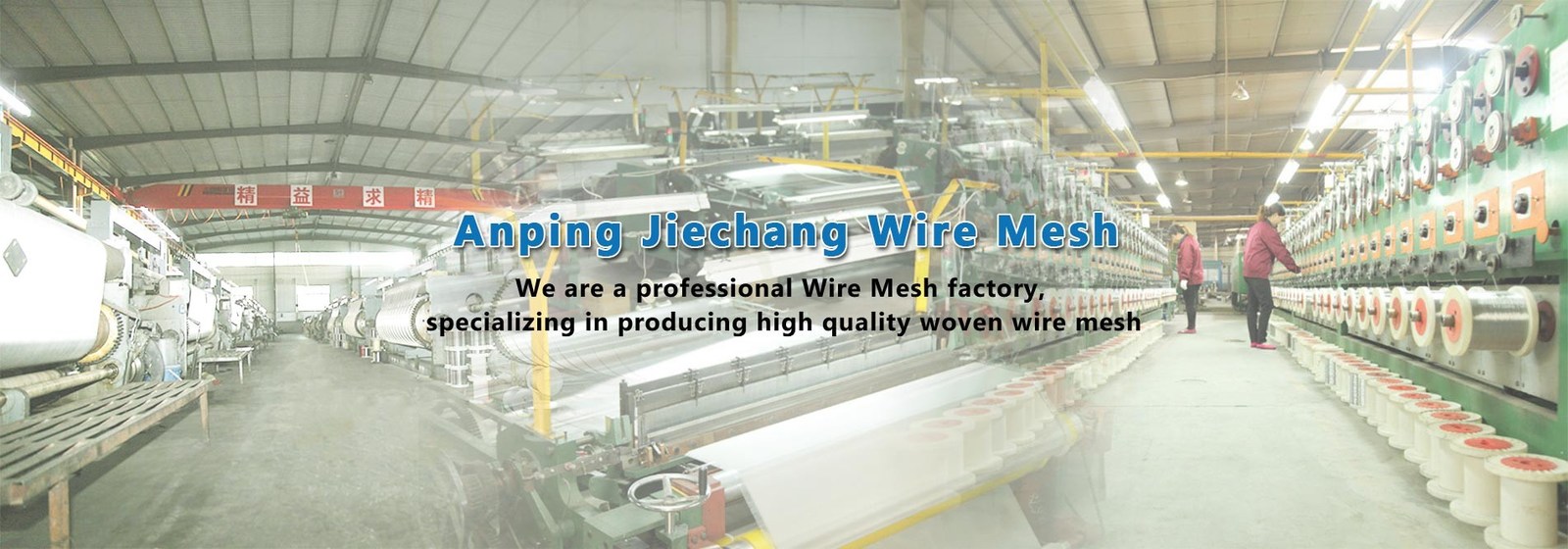 Stainless Steel Wire Mesh