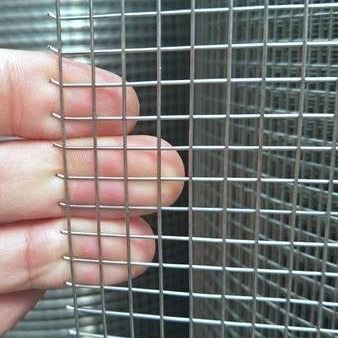 Stainless Steel welded wire mesh  Sheet and Roll Widely Used in Industry, Agriculture and Livestock