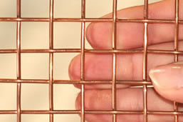 Phosphor Bronze Wire cloth